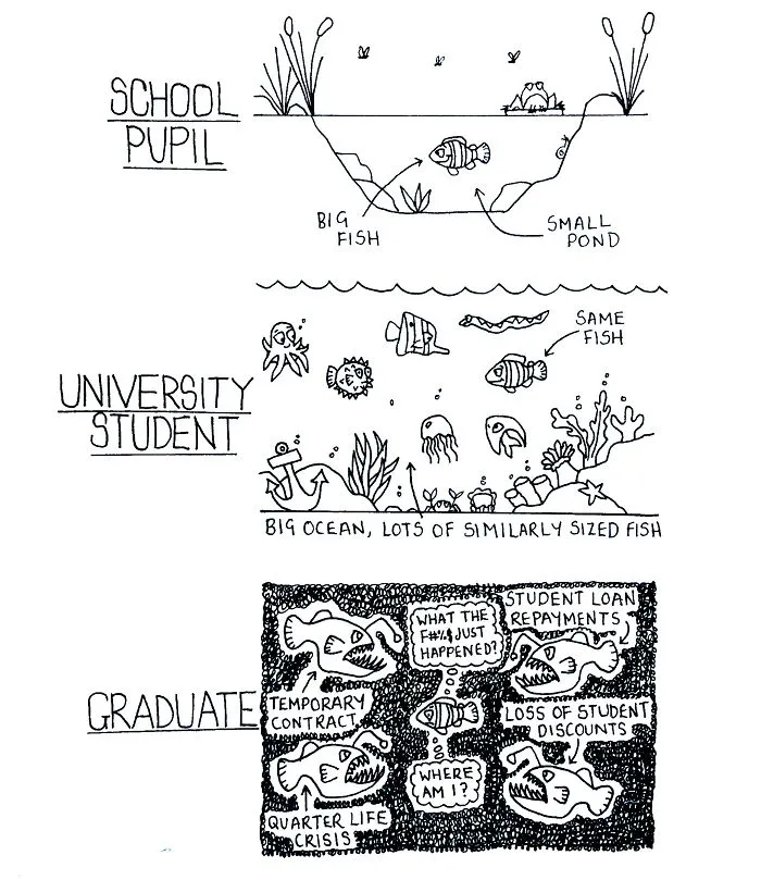 I Drew 11 Cartoons That Demonstrate The Process Of Graduating And Finding A Job
