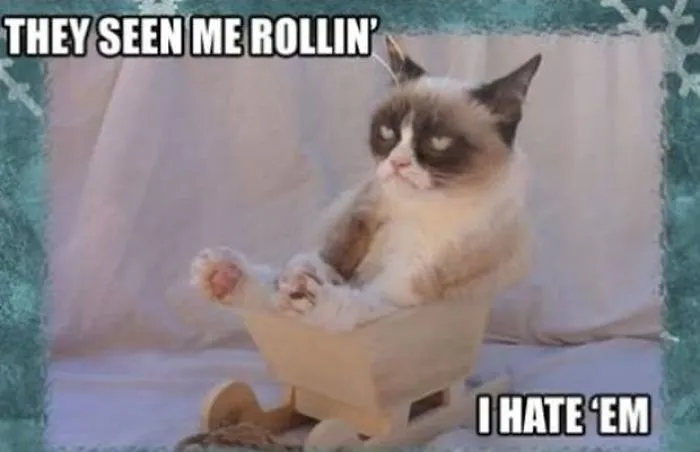Top 5 Funniest Grumpy Cat Memes