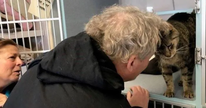 Woman Sees Her Cat On Facebook Who's Been Missing For 2 Years