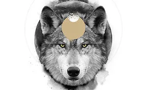 I Create Artful Poster Totems, To Connect With The Energy Of These Spirit Animals