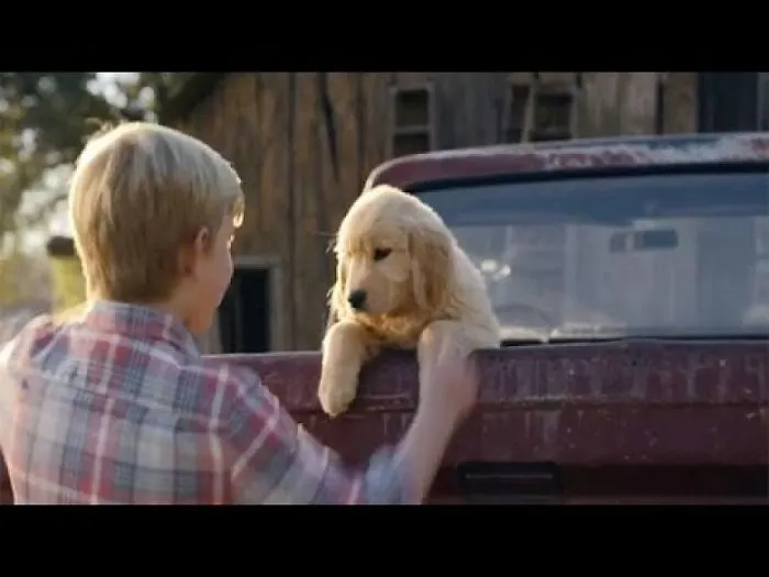 The Reaction Of People When They Win A Gift Puppy Is To Thrill Anyone