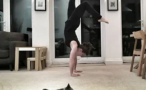 50 Times Asshole Cats Hilariously Photobombed Purrfect Shots