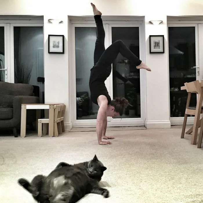 50 Times Asshole Cats Hilariously Photobombed Purrfect Shots