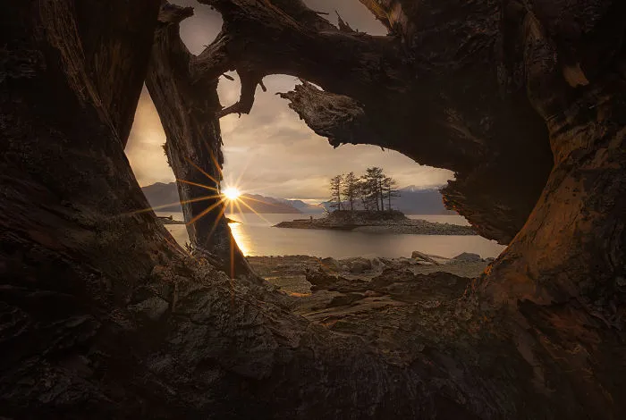 A Dawn Of Hope