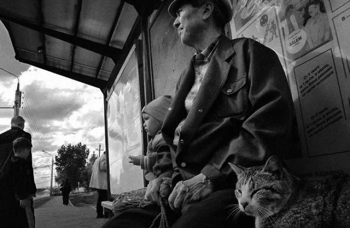 Fotografío el mundo secreto de los gatos callejeros en Kazajstán