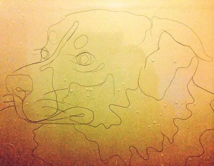 This Girl Accidentaly Created A "Drawing" Using Her Shower Hair, And Now She Can't Stop