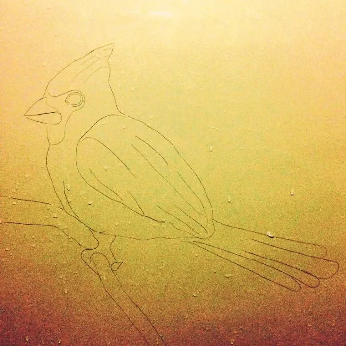 This Girl Accidentaly Created A "Drawing" Using Her Shower Hair, And Now She Can't Stop
