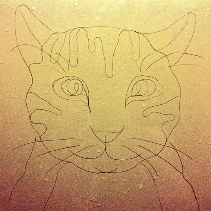This Girl Accidentaly Created A "Drawing" Using Her Shower Hair, And Now She Can't Stop