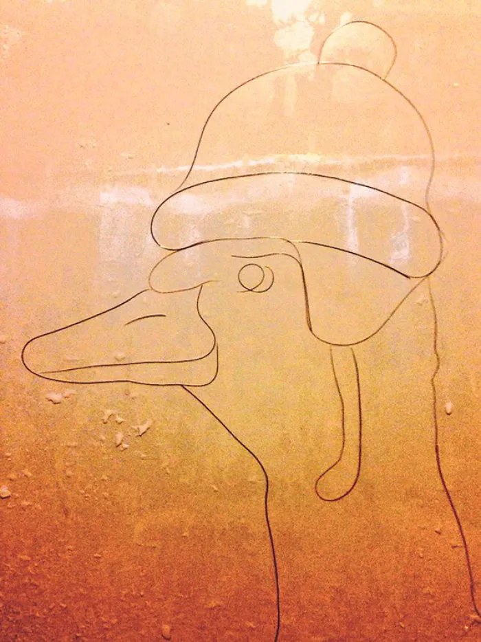 This Girl Accidentaly Created A "Drawing" Using Her Shower Hair, And Now She Can't Stop