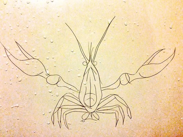 This Girl Accidentaly Created A "Drawing" Using Her Shower Hair, And Now She Can't Stop