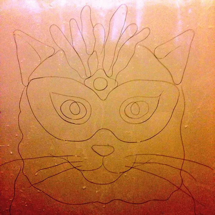 This Girl Accidentaly Created A "Drawing" Using Her Shower Hair, And Now She Can't Stop