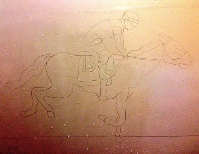 This Girl Accidentaly Created A "Drawing" Using Her Shower Hair, And Now She Can't Stop