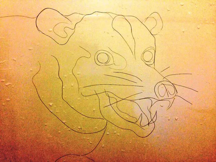 This Girl Accidentaly Created A "Drawing" Using Her Shower Hair, And Now She Can't Stop