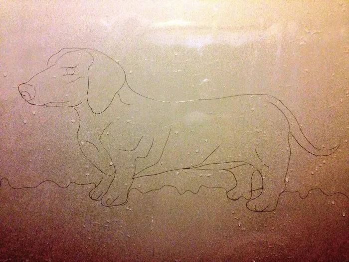 This Girl Accidentaly Created A "Drawing" Using Her Shower Hair, And Now She Can't Stop