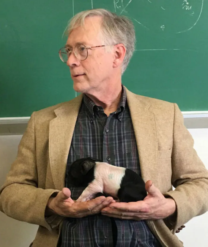 Mi profesor de física tiene un cerdito que necesita calor y alimento cada dos horas, así que lo llevó a clase