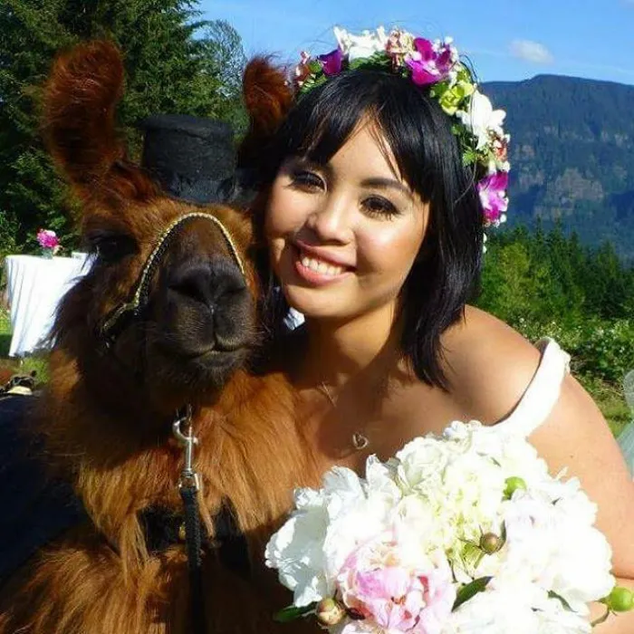 People Who Hate Humans Now Can Invite Llamas In Bowties To Their Weddings Instead
