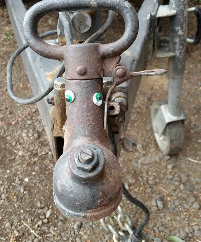 Cow Or Giraffe?