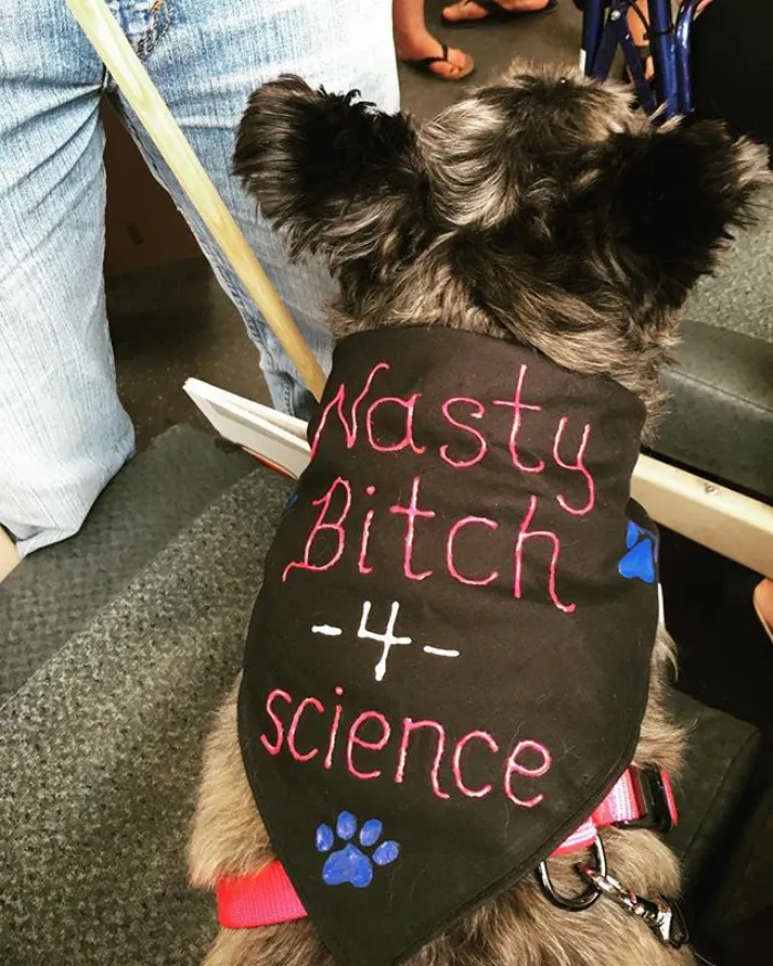 52 Dogs Who Marched For Science, And Totally Saved The World