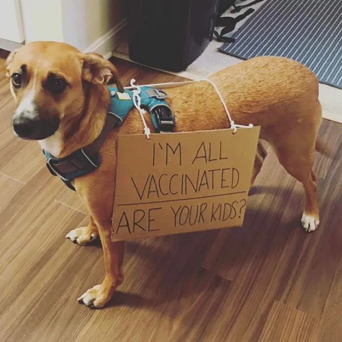 Yo estoy vacunado, ¿y tus hijos?