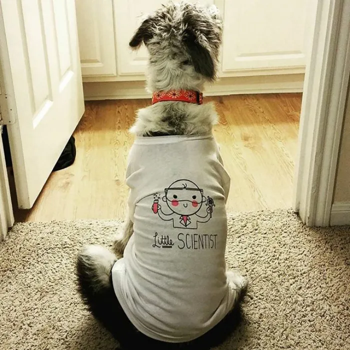 52 Dogs Who Marched For Science, And Totally Saved The World
