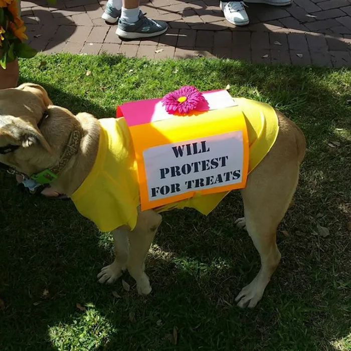 131 Of The Best Signs From The March For Science Shows What Happens When You Piss Of The Scientists