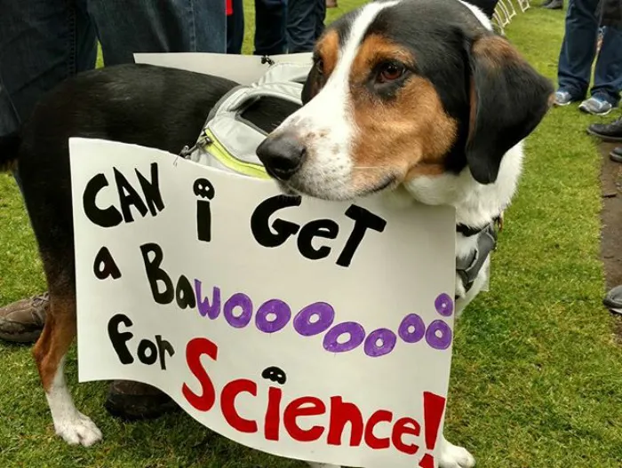 131 Of The Best Signs From The March For Science Shows What Happens When You Piss Of The Scientists