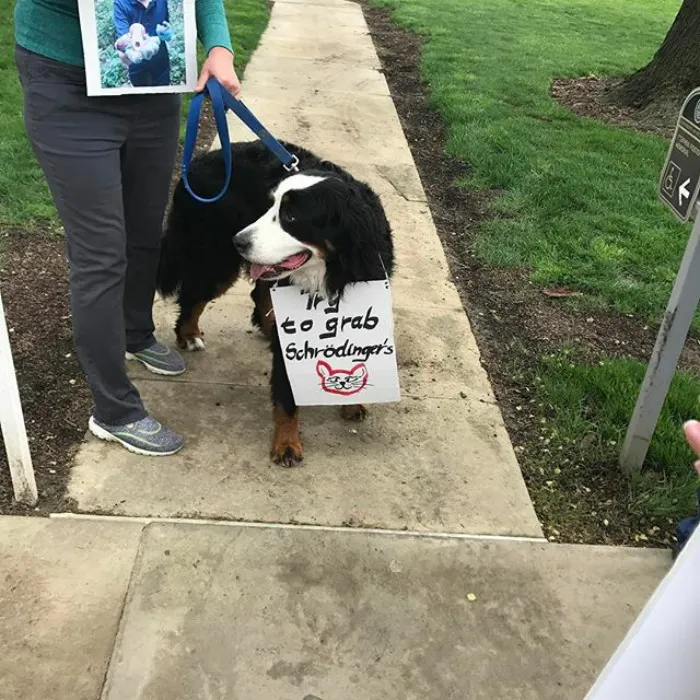 52 Dogs Who Marched For Science, And Totally Saved The World