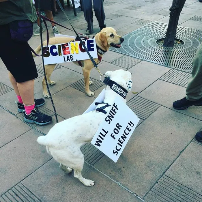 Olisqueo por la ciencia