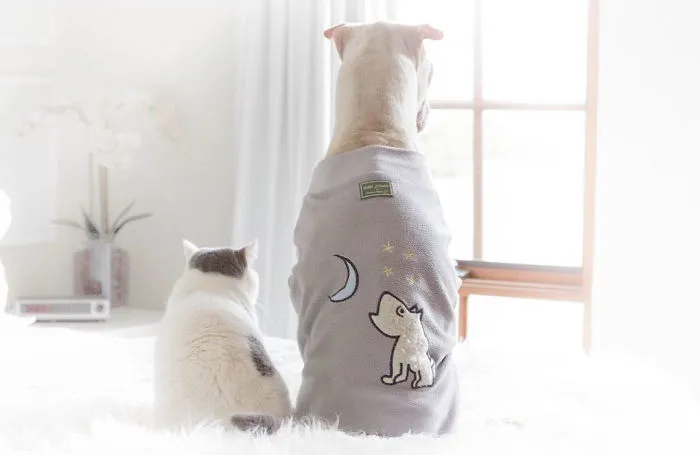 This Shar Pei Is Best Friends With A Cat, And Their Photos Are Just Too Adorable