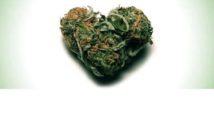 Cannabis Saved My Life, But Let Me Tell You About Barbara