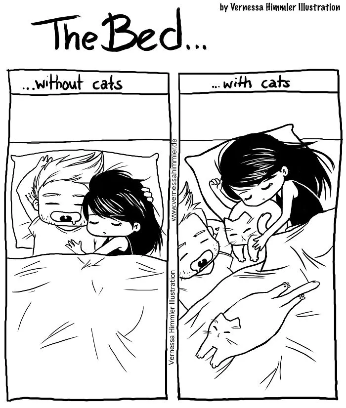 My Diary Comics About My Life With Two Cheeky Cats
