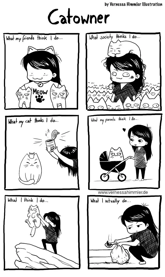 My Diary Comics About My Life With Two Cheeky Cats