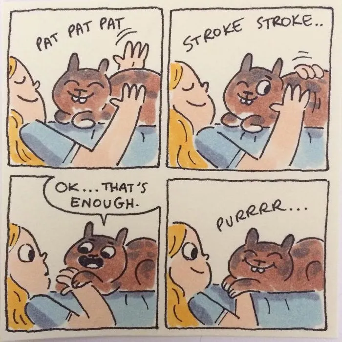 I Capture What It's Like Living With My Cats