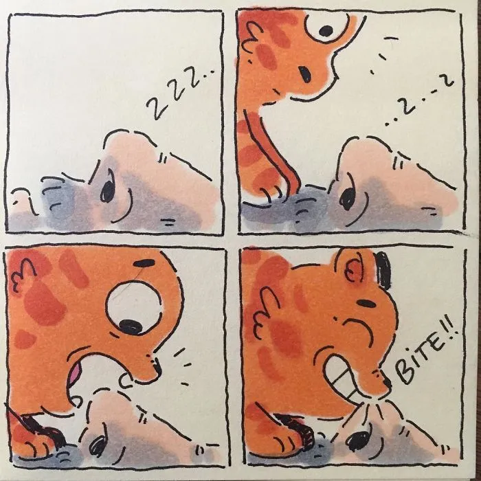 I Capture What It's Like Living With My Cats