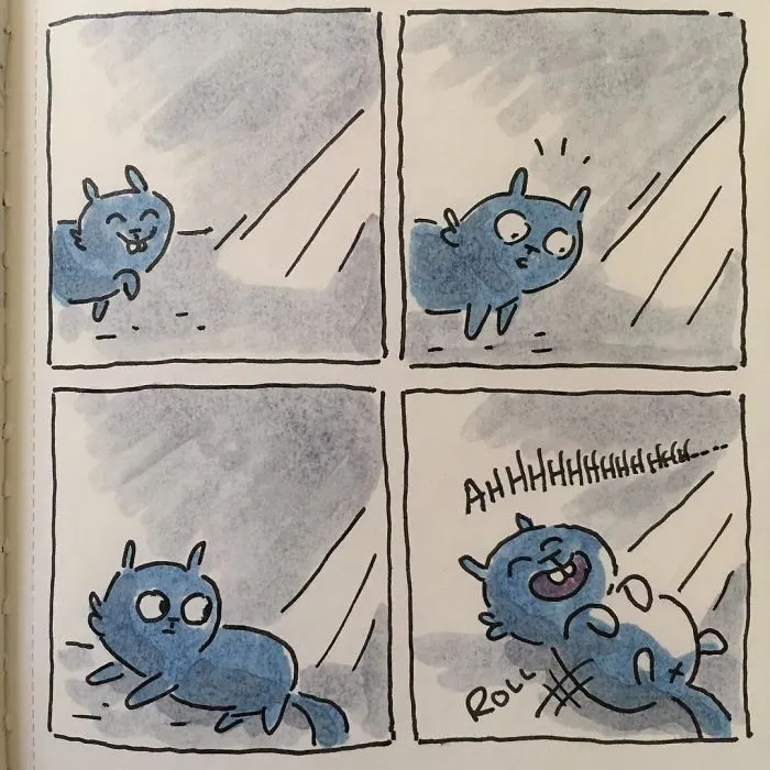 I Capture What It's Like Living With My Cats