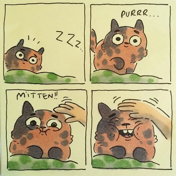 I Capture What It's Like Living With My Cats