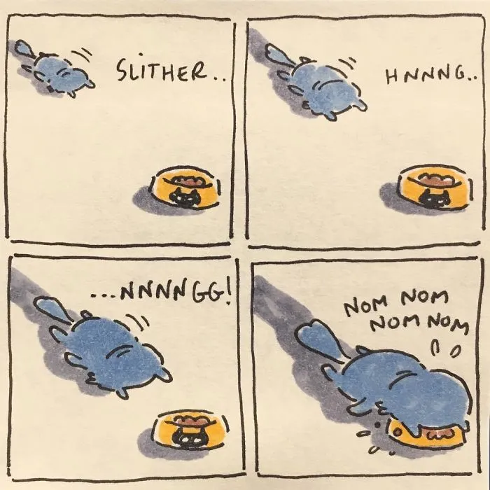 I Capture What It's Like Living With My Cats