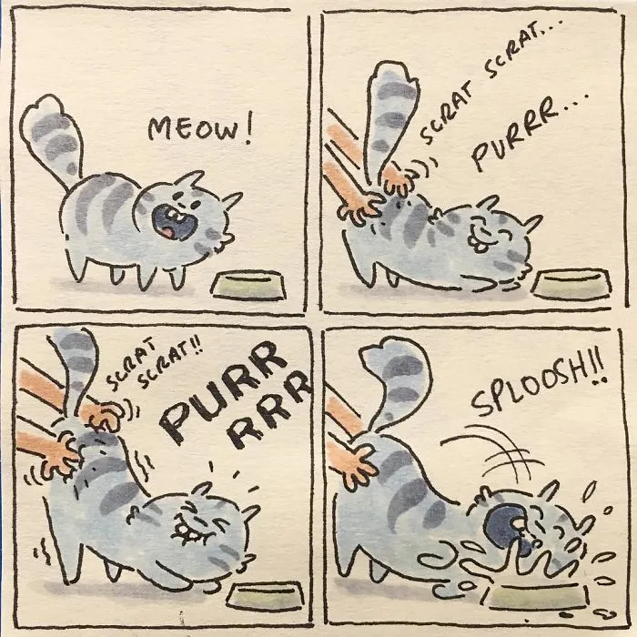 I Capture What It's Like Living With My Cats