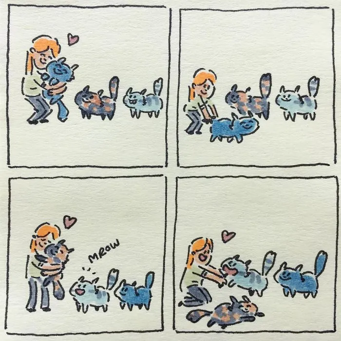 Cat Moments