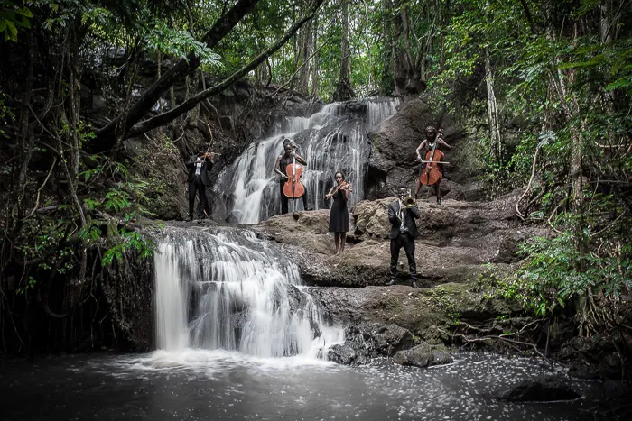 Nature's Orchestra