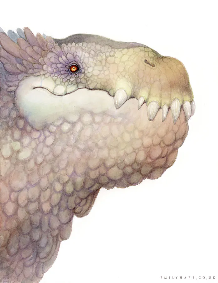Club-nosed Dragon