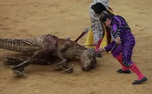 We Refer Bullfight Back To The Dinosaurs Era