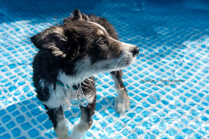 First Time Swimming