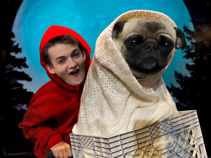 E.t. Go Home