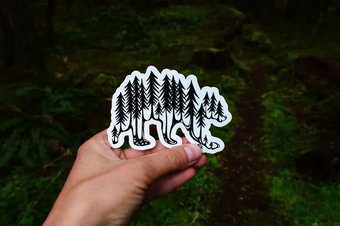Forest Spirit Bear