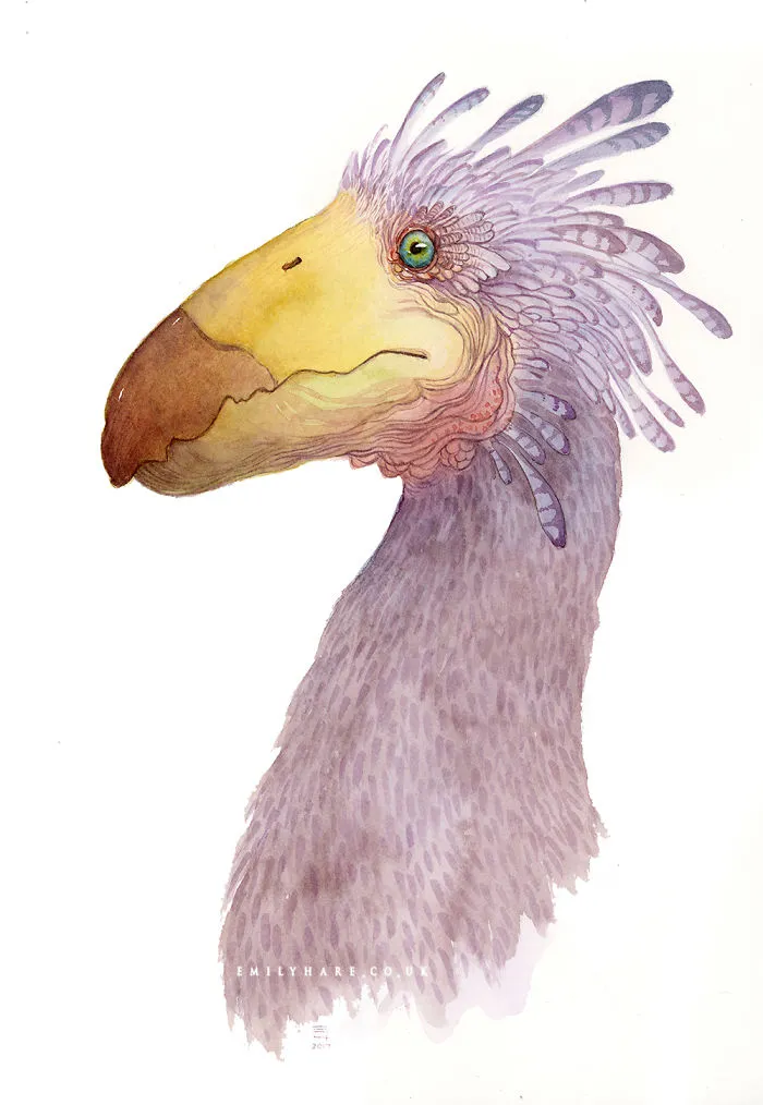 Fairy-eating Bird