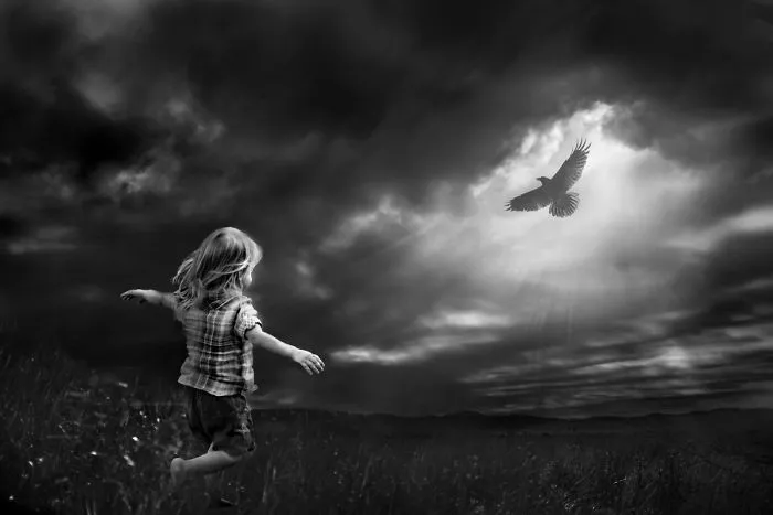 Free Bird