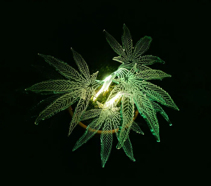 I Made A Glowing Hemp Lamp