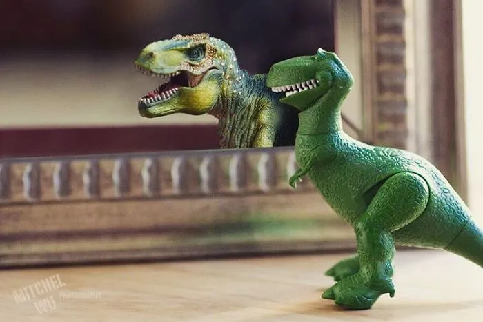 Rex Likes What He Sees In The Mirror. He Likes It Very Much!