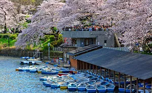 I Spent Two Weeks In Japan And I Fell In Love With This Country Where Past And Future Collide